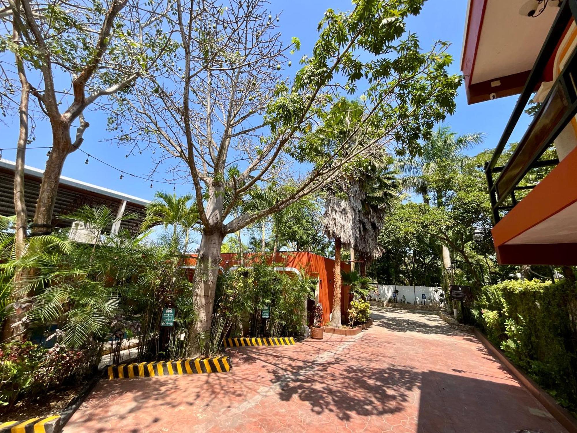 El Zaguan Colonial By Guruhotel バリャドリッド エクステリア 写真
