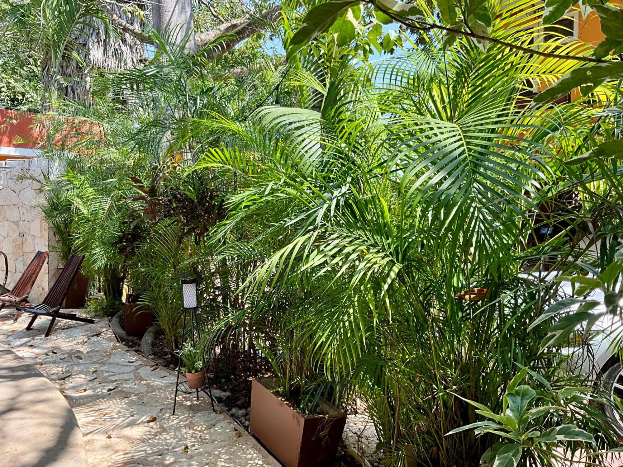 El Zaguan Colonial By Guruhotel バリャドリッド エクステリア 写真